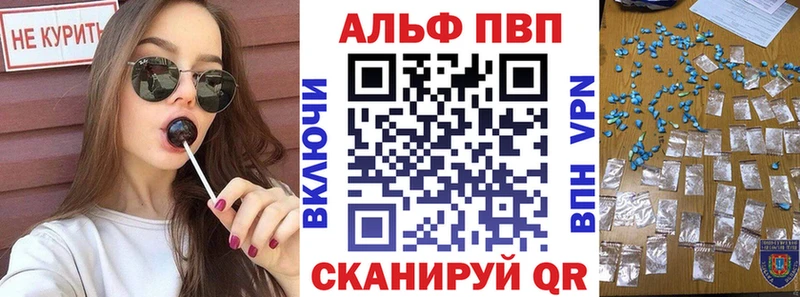 Альфа ПВП СК КРИС  Хасавюрт 