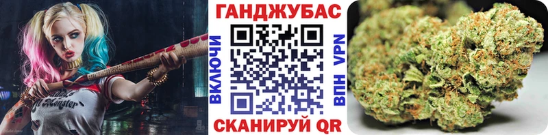 Шишки марихуана планчик  ссылка на мегу   Хасавюрт 